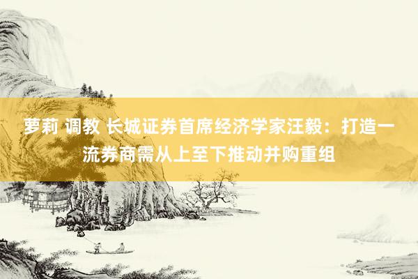 萝莉 调教 长城证券首席经济学家汪毅：打造一流券商需从上至下推动并购重组