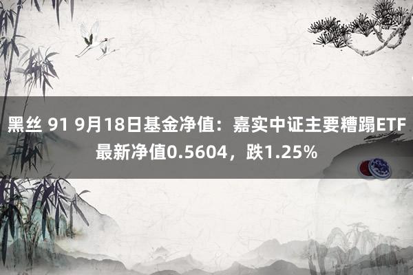 黑丝 91 9月18日基金净值：嘉实中证主要糟蹋ETF最新净值0.5604，跌1.25%