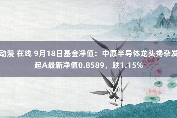 动漫 在线 9月18日基金净值：中原半导体龙头搀杂发起A最新净值0.8589，跌1.15%