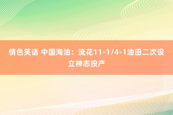 情色笑话 中国海油：流花11-1/4-1油田二次设立神志投产