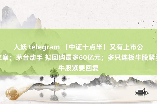 人妖 telegram 【中证十点半】又有上市公司被立案；茅台动手 拟回购最多60亿元；多只连板牛股紧要回复