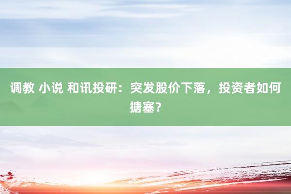 调教 小说 和讯投研：突发股价下落，投资者如何搪塞？