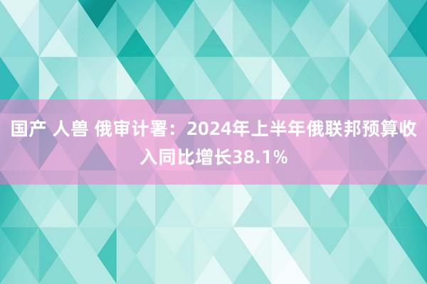 国产 人兽 俄审计署：2024年上半年俄联邦预算收入同比增长38.1%