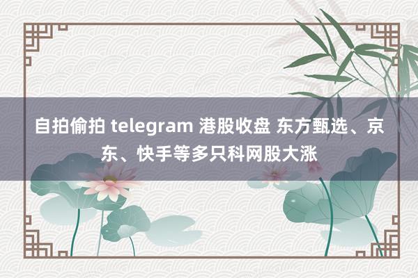 自拍偷拍 telegram 港股收盘 东方甄选、京东、快手等多只科网股大涨