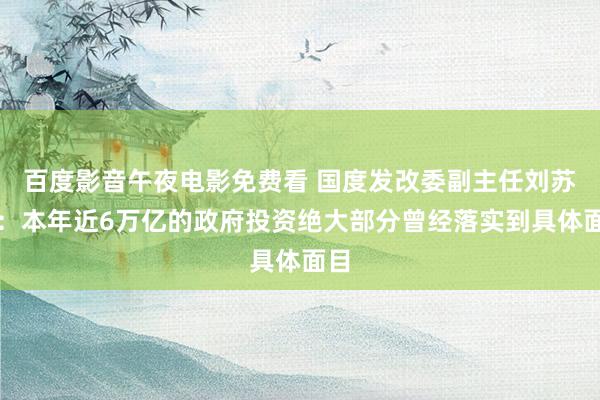 百度影音午夜电影免费看 国度发改委副主任刘苏社：本年近6万亿的政府投资绝大部分曾经落实到具体面目