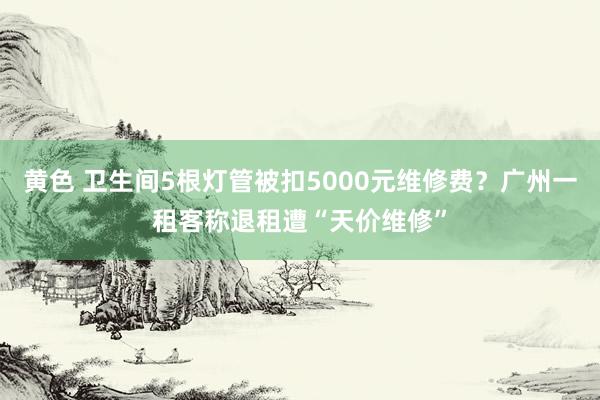 黄色 卫生间5根灯管被扣5000元维修费？广州一租客称退租遭“天价维修”