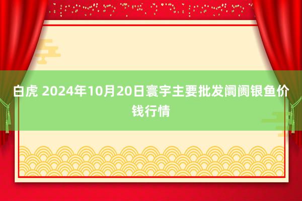 白虎 2024年10月20日寰宇主要批发阛阓银鱼价钱行情