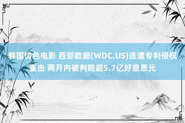 韩国情色电影 西部数据(WDC.US)连遭专利侵权重击 两月内被判赔超5.7亿好意思元