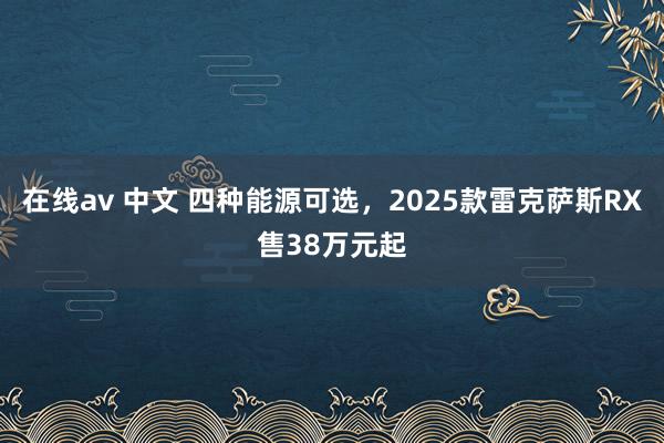 在线av 中文 四种能源可选，2025款雷克萨斯RX售38万元起