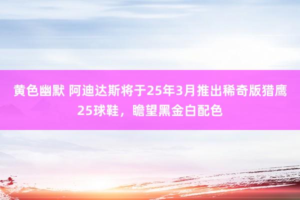 黄色幽默 阿迪达斯将于25年3月推出稀奇版猎鹰25球鞋，瞻望黑金白配色