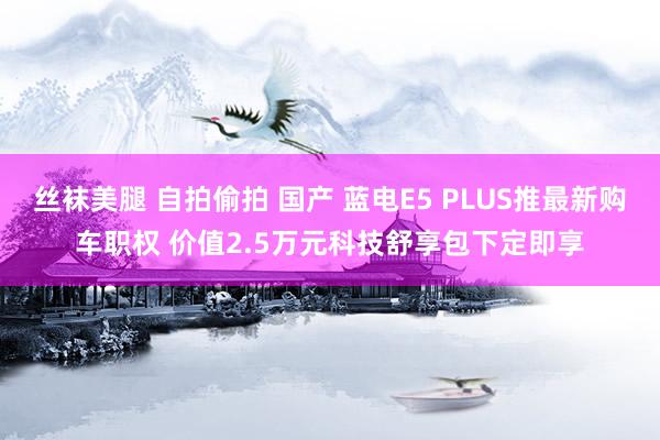 丝袜美腿 自拍偷拍 国产 蓝电E5 PLUS推最新购车职权 价值2.5万元科技舒享包下定即享