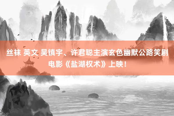 丝袜 英文 吴镇宇、许君聪主演玄色幽默公路笑剧电影《盐湖权术》上映！