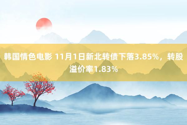 韩国情色电影 11月1日新北转债下落3.85%，转股溢价率1.83%