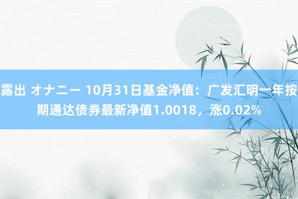 露出 オナニー 10月31日基金净值：广发汇明一年按期通达债券最新净值1.0018，涨0.02%