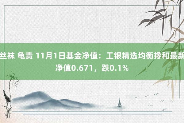 丝袜 龟责 11月1日基金净值：工银精选均衡搀和最新净值0.671，跌0.1%