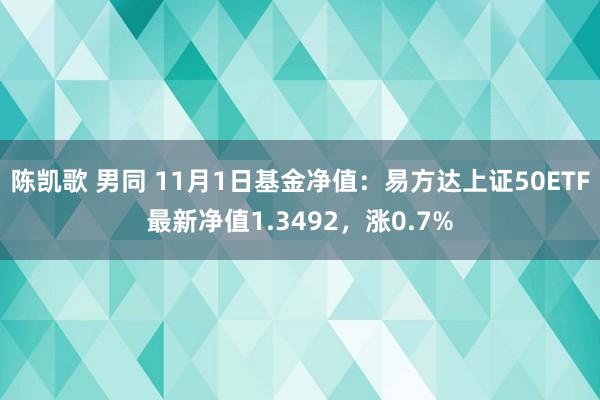 陈凯歌 男同 11月1日基金净值：易方达上证50ETF最新净值1.3492，涨0.7%