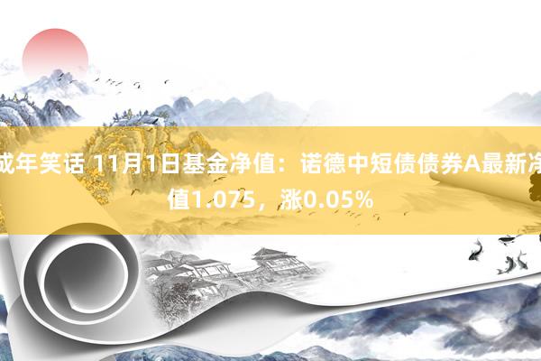 成年笑话 11月1日基金净值：诺德中短债债券A最新净值1.075，涨0.05%