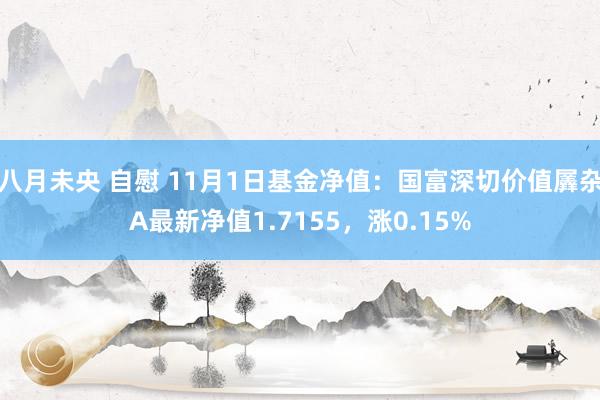 八月未央 自慰 11月1日基金净值：国富深切价值羼杂A最新净值1.7155，涨0.15%