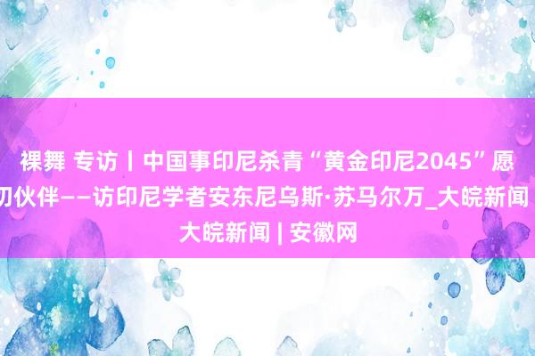 裸舞 专访丨中国事印尼杀青“黄金印尼2045”愿景的热切伙伴——访印尼学者安东尼乌斯·苏马尔万_大皖新闻 | 安徽网