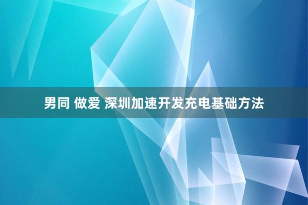 男同 做爱 深圳加速开发充电基础方法