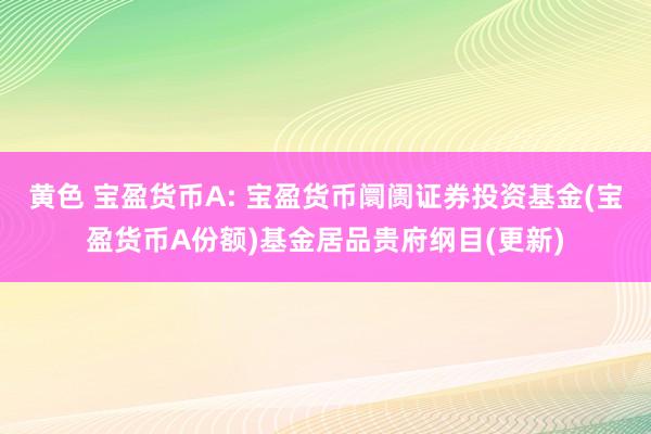 黄色 宝盈货币A: 宝盈货币阛阓证券投资基金(宝盈货币A份额)基金居品贵府纲目(更新)