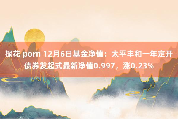 探花 porn 12月6日基金净值：太平丰和一年定开债券发起式最新净值0.997，涨0.23%