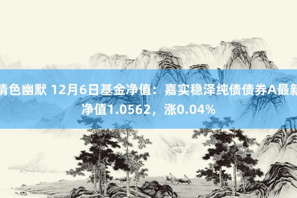 情色幽默 12月6日基金净值：嘉实稳泽纯债债券A最新净值1.0562，涨0.04%