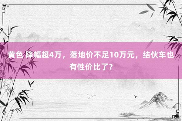 黄色 降幅超4万，落地价不足10万元，结伙车也有性价比了？