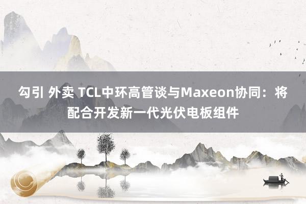 勾引 外卖 TCL中环高管谈与Maxeon协同：将配合开发新一代光伏电板组件