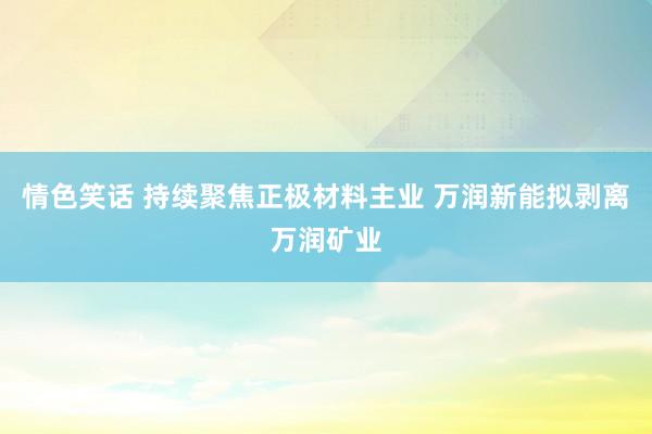 情色笑话 持续聚焦正极材料主业 万润新能拟剥离万润矿业