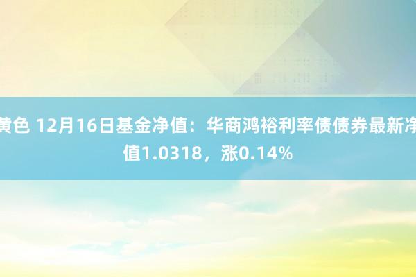 黄色 12月16日基金净值：华商鸿裕利率债债券最新净值1.0318，涨0.14%