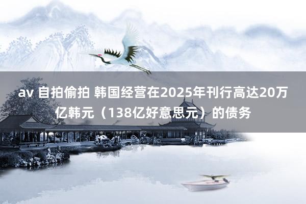 av 自拍偷拍 韩国经营在2025年刊行高达20万亿韩元（138亿好意思元）的债务