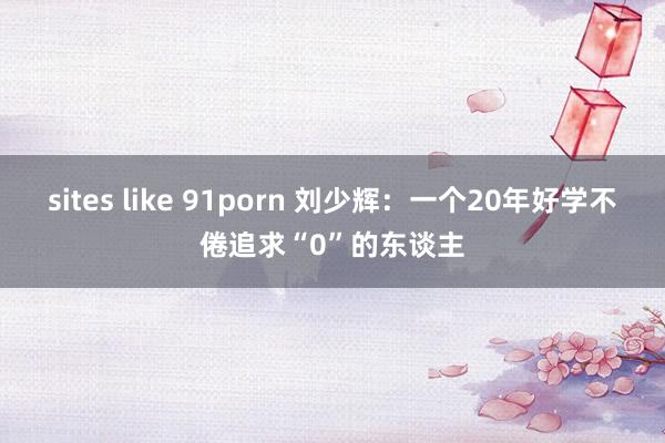 sites like 91porn 刘少辉：一个20年好学不倦追求“0”的东谈主