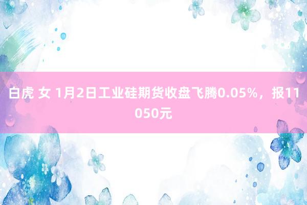 白虎 女 1月2日工业硅期货收盘飞腾0.05%，报11050元