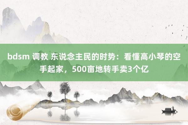 bdsm 调教 东说念主民的时势：看懂高小琴的空手起家，500亩地转手卖3个亿