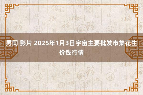 男同 影片 2025年1月3日宇宙主要批发市集花生价钱行情