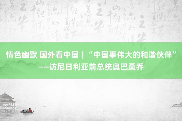 情色幽默 国外看中国｜“中国事伟大的和谐伙伴”——访尼日利亚前总统奥巴桑乔