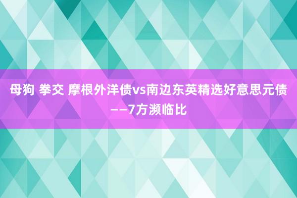 母狗 拳交 摩根外洋债vs南边东英精选好意思元债——7方濒临比