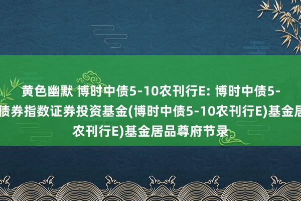 黄色幽默 博时中债5-10农刊行E: 博时中债5-10年农刊行债券指数证券投资基金(博时中债5-10农刊行E)基金居品尊府节录