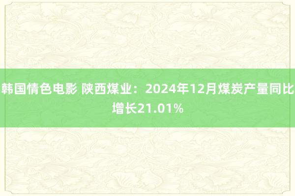 韩国情色电影 陕西煤业：2024年12月煤炭产量同比增长21.01%