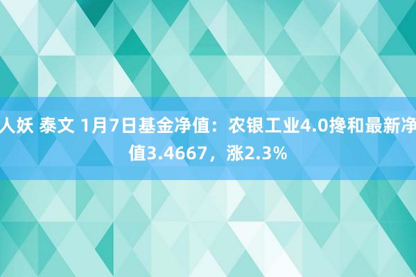 人妖 泰文 1月7日基金净值：农银工业4.0搀和最新净值3.4667，涨2.3%