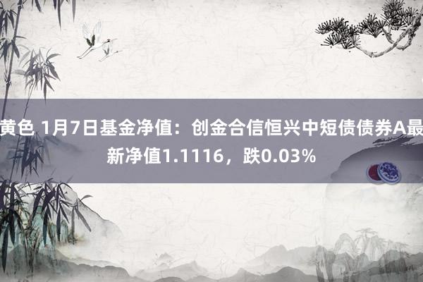 黄色 1月7日基金净值：创金合信恒兴中短债债券A最新净值1.1116，跌0.03%