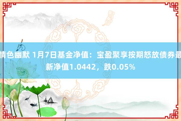 情色幽默 1月7日基金净值：宝盈聚享按期怒放债券最新净值1.0442，跌0.05%