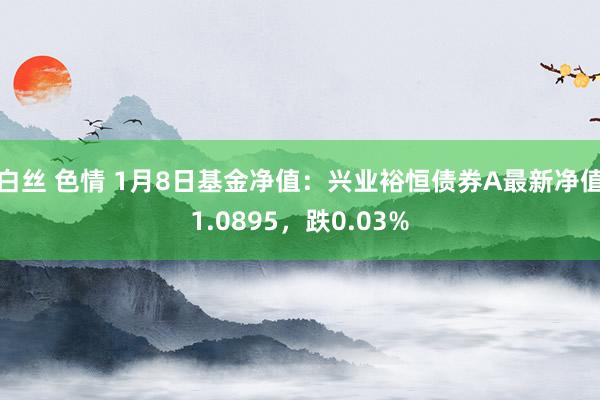 白丝 色情 1月8日基金净值：兴业裕恒债券A最新净值1.0895，跌0.03%