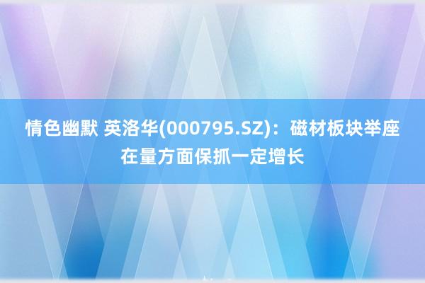 情色幽默 英洛华(000795.SZ)：磁材板块举座在量方面保抓一定增长