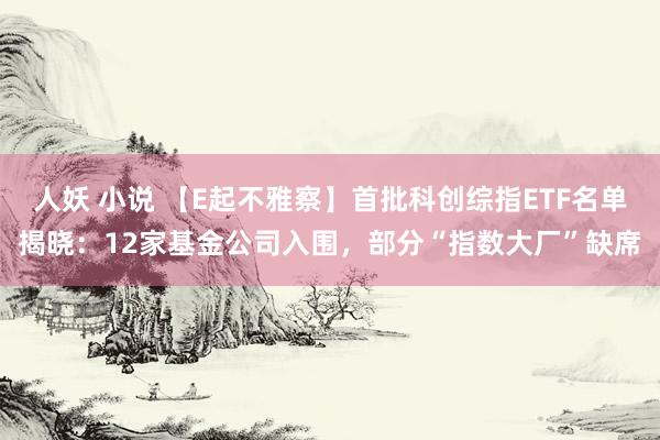 人妖 小说 【E起不雅察】首批科创综指ETF名单揭晓：12家基金公司入围，部分“指数大厂”缺席