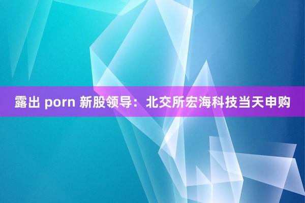 露出 porn 新股领导：北交所宏海科技当天申购